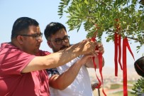 DİLEK AĞACI - ZİÇEV'li Öğrenciler 'Sevgi Dileği Ağacı'nda Umutlarını Tazelediler