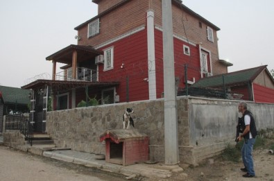 Adana'da Pitbullarla Korunan Şatoya Veterinerli Polis Baskını