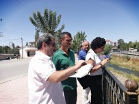 VAN YÜZÜNCÜ YıL ÜNIVERSITESI - Akköprü Deresi'nde İnci Kefali Hazırlığı