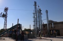 İTALYAN - Antep Fıstığı Teknolojiyle Kurutulacak