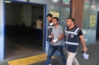 SÜS BALIĞI - Bu Da Japon Süs Balığı Hırsızı