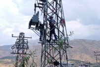 TERMAL KAMERA - Dicle Elektrik Dağıtım Bölgesinde Arıza Oranı Azaldı