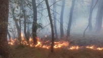 Dikmen'deki Orman Yangınına Helikopterli Müdahale
