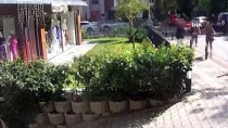 KADIN HIRSIZ - Kadıköy'de Girdikleri Evlerden Para Ve Ziynet Eşyası Çalan Kadınlar Yakalandı