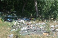 KENT ORMANI - Kars Kent Ormanı Kaderine Terk Edildi