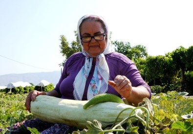 Küçücük Bir Delikten Devasa Acur Yetiştirdi