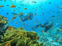 ÇEKIM - Mersinli Dalgıçlar, Kızıldeniz'in Büyülü Dünyasına Daldı