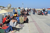 ALTıNKUM - Ölüme Yolculuktaki 5 Şişme Botta 180 Göçmen Yakalandı