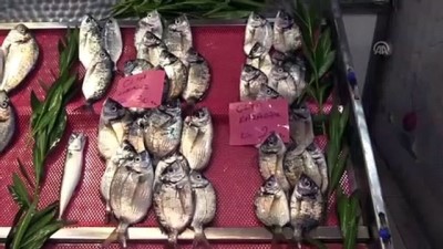 Sardalyanın Kilosu 15 Liraya Düştü