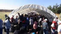 TAMPON BÖLGE - Ülkesine Bayrama Giden Suriyelilerin Sayısı 12 Bine Ulaştı
