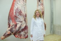 BUZDOLABı - Uzmanı Uyardı Açıklaması 'Kurbanlık Hayvanlar Kesimden Önce Dinlendirilmeli'