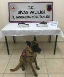 TARİHİ ESER KAÇAKÇILIĞI - Yine Ayakkabı Tabanı Yine Esrar