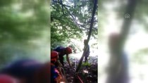 MAHSUR KALDI - Ağaçtan Düşerek Mahsur Kalan Kişi Kurtarıldı