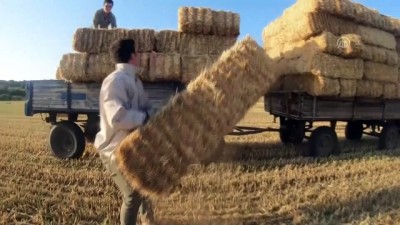 Alınlarından Ter, Yüzlerinden Toz Eksik Olmuyor