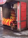 OTOMOBİL YIKAMA - Antalya'da Köpeklerin Fırçalı Ve Buzdolaplı Serinliği