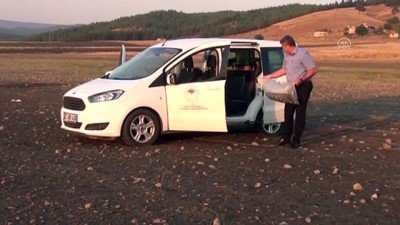 Gaziantep'te Baraj Ve Göletlere Balık Bırakıldı