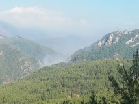 Osmaniye'de Amanos Dağları'nda Orman Yangını