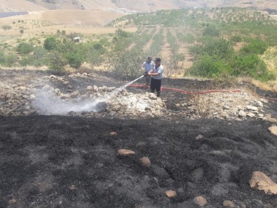 Siirt'te Fıstık Ağaçları Ve Üzüm Bağlarında Yangın Açıklaması 50 Dönümlük Alan Zarar Gördü
