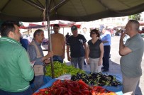 TRABZON HURMASI - Tarım Müdürlüğü Meyve Üreticilerine Akdeniz Sineğini Anlattı