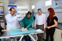HAYVAN HAKLARı FEDERASYONU - Yaralı Hayvanlar Profesyonel Cihazlarla Tedavi Ediliyor