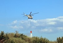 Antalya'da Orman Yangını