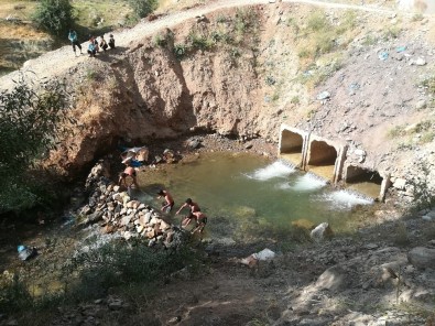 Bitlisli Çocuklar Yüzmeyi Derede Öğreniyor