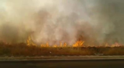 Diyarbakır'da Tarladaki Yangın Hayatı Felç Etti