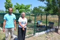 Kedilere Yuva Çağrısına Belediye Kayıtsız Kalmadı