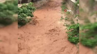 Nallıhan'da Yağmur Sonrası Su Baskınları Yaşandı