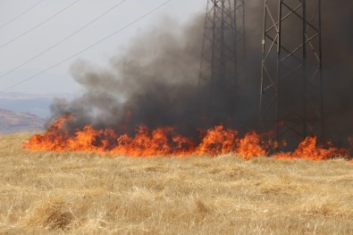 Siirt'te 2 Ayrı Tarlada Çıkan Yangında 100 Dönüm Arazi Kül Oldu