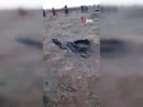 GENERAL - Ulusal Mutabakat Hükümetine Ait Uçak Düşürüldü