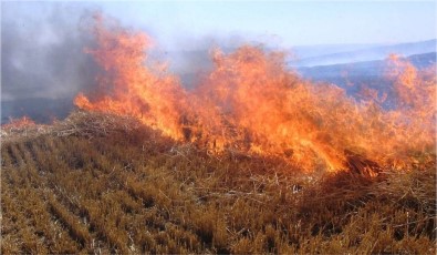 Validen Çiftçilere 'Anız Yangını' Uyarısı