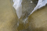 OLTA - Göl Ve Göletlere 5,1 Milyon Yavru Balık Bırakılacak