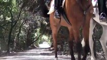 DİLEK YARIMADASI - Milli Parkın Güvenliği Atlı Timlere Emanet