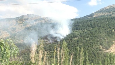 Afyonkarahisar'da Orman Yangını