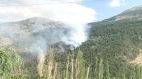 Afyonkarahisar'da Orman Yangını Haberi