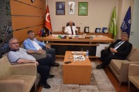 EMİR OSMAN BULGURLU - Bursa Kent Konseyi Başkanı Orhan'a Tebrik Ziyareti Sürüyor