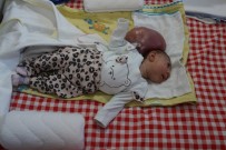 MARMARA ÜNIVERSITESI - İHA'nın Haberi 'Elif' Bebeğe Umut Oldu