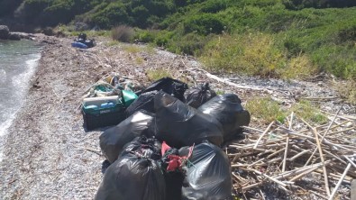 Milli Park'ta Kıyı Temizliği