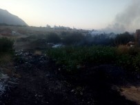 ZEYTINLIK - Muğla'da Çöplük Yangını