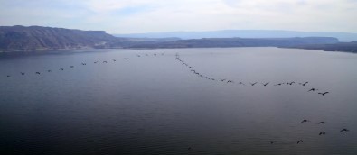 (ÖZEL) Kuş Cennetinden Eşsiz Görüntüler