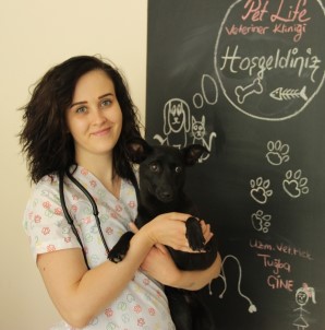 Evcil Hayvanları İçin Öğle Saatlerine Dikkat