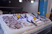BALIK TEZGAHLARI - Karadeniz'de Balıkçılar Sezonu İple Çekiyor