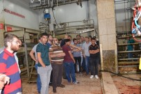 ERCIYES ÜNIVERSITESI - Melikgazi Belediyesi'nden Kurban Kesim Kursu