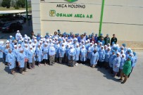 OSMAN AKÇA - Osman Akça'da 125 Kişi Daha İş Başı Yaptı