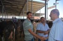 NURULLAH KAYA - Başkan Bozkurt Kurban Pazarını Ziyaret Etti