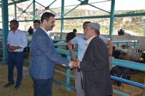 KURBANLIK HAYVAN - Başkan Geylani, Bayram Öncesi Mezbahana Ve Hayvan Pazarını Ziyaret Etti
