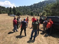 YABAN DOMUZU - Çiftçileri Bıktıran Yaban Domuzları İçin Mücadele Maksatlı Sürek Avı