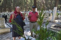 DEVE GÜREŞİ - Kuşadası'nda Mezarlıklar Ziyaretçi Akınına Uğradı