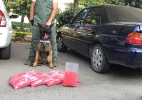 Mersin'de 72 Bin 500 Adet Extacy Hap Ele Geçirildi